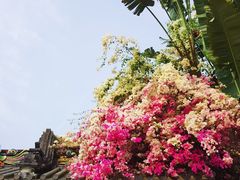 -深圳国际园林花卉博览园