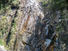 -花岩国家森林公园