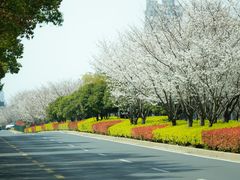 -白塘生态植物园