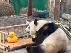 -大连森林动物园