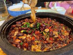 -陈麻婆豆腐总店