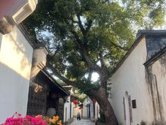 -三坊七巷历史文化街区