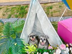 -武汉紫薇都市田园