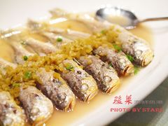 -骏莱海鲜鱼港(五角场店)