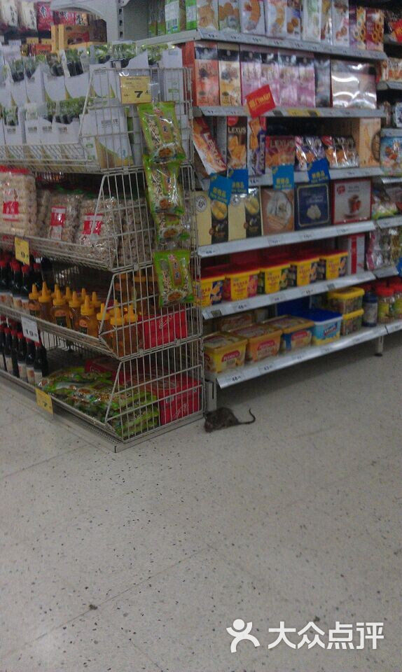 maidou0126           喂食兔           魔女三号_babykikilee