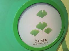 -佛山科学馆