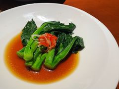 -觀芷隐轩