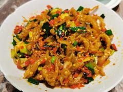鸭掌筋-壹盏灯(惠农店)