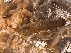 -海味当家·蒸锅海鲜(星海公园店)