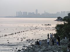 -深圳湾公园(南山区)