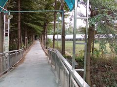 -新塘水果乐园(东洲大道店)