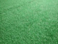 -怀托摩萤火虫洞