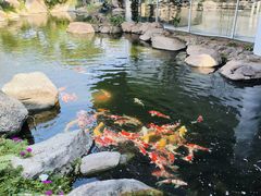 -罗红摄影艺术馆