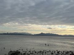 -深圳湾公园(南山区)