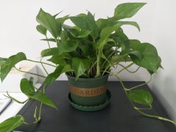 点击看大图 -美肌工坊皮肤管理