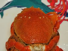 -阳光岛·海鲜盛宴(银泰中心in99店)