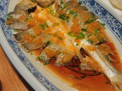 黄椒酱蒸深海黄鱼-頂好酒家·经典粤菜(海信广场店)