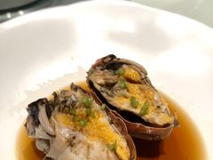 -子福慧(虹桥店)