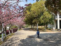 -同济大学(嘉定校区)