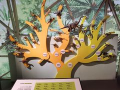 -湖南省地质博物馆