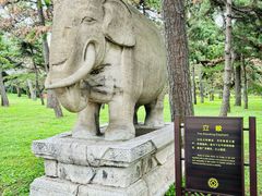 -北陵公园