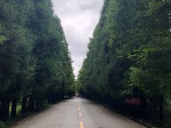 -山王坪喀斯特国家生态公园