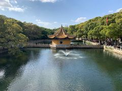 -普陀山风景区-佛顶山