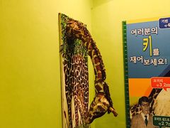 -信不信由你博物馆