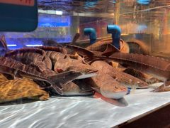 -阿伟海鲜楼·福建菜(延寿店)