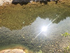 -龙湾潭国家森林公园