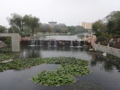 android_upload_pic-丁家河公园