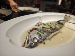 -虎哥私房菜(馒头山店)
