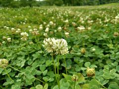 -盘龙城国家考古遗址公园