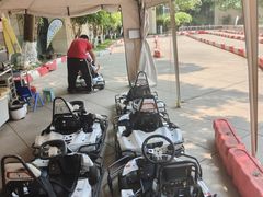 -成都保利公园皇冠假日酒店(熊猫基地店)