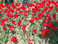 -双峰山国家森林公园-售票处