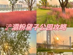 -西安浐灞国家湿地公园