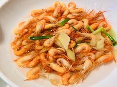 -碧丽宫大酒店(召稼楼店)