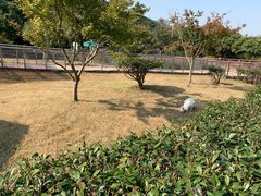 -无锡动物园·太湖欢乐园