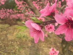 -永和红旗美食城