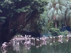 -九龙公园