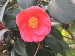 -艾溪湖湿地公园