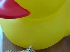 android_upload_pic-TOYSRUS玩具反斗城(厦门新生活广场店)