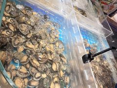 -美盛喜来登大酒店-盛宴标帜餐厅