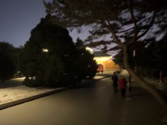 -北陵公园