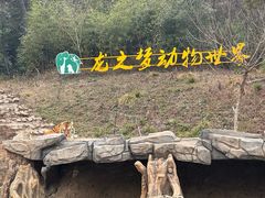 -太湖龙之梦