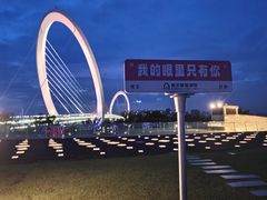 -南京眼步行桥