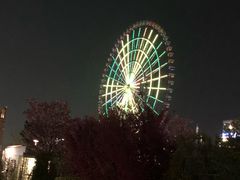 -台场海滨公园船码头