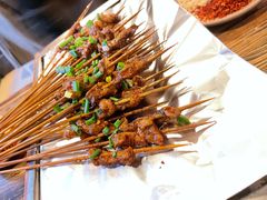 -晓靖轩烧烤(沙河风情店)