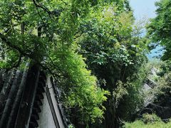 -潭柘寺景区