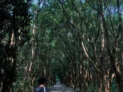 -同里国家湿地公园